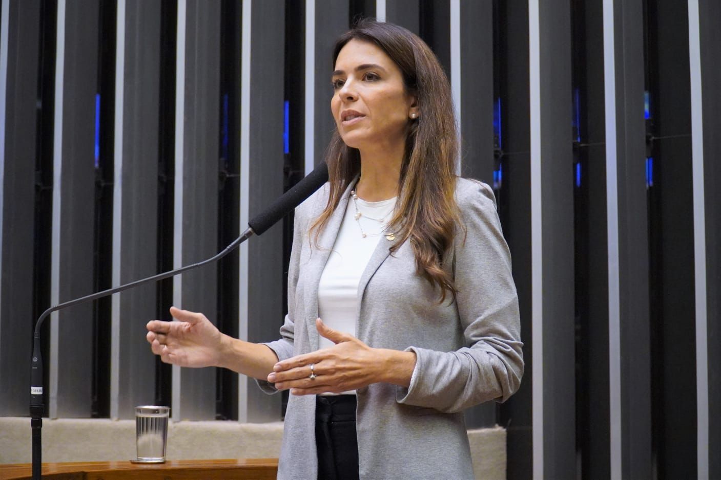 Deputada Ana Ortiz na C�mara dos Deputados./ Cr�dito: Saulo Men�o